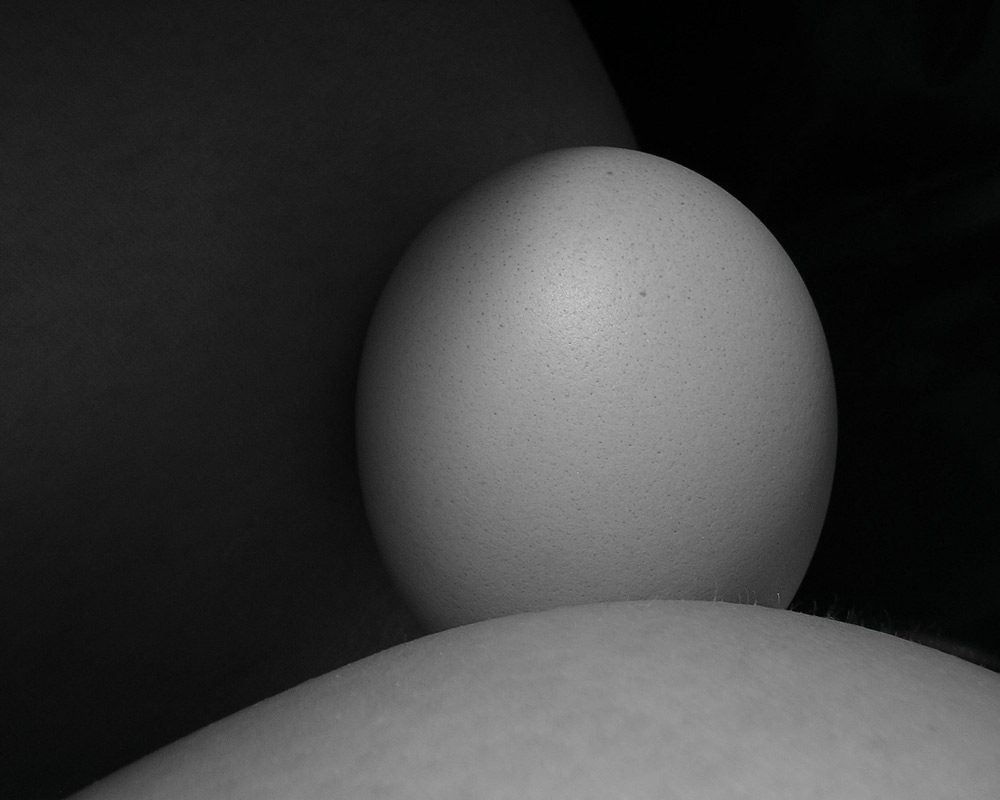 Portrait of an egg
